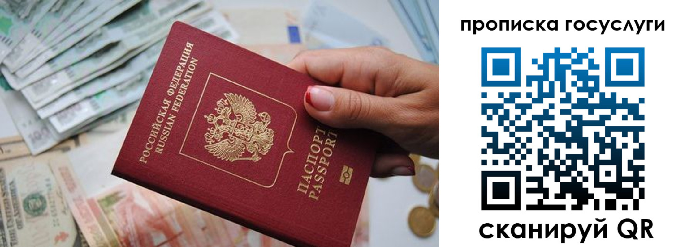 прописка поиск в Сургуте